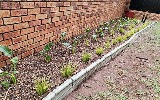 Erosion Control